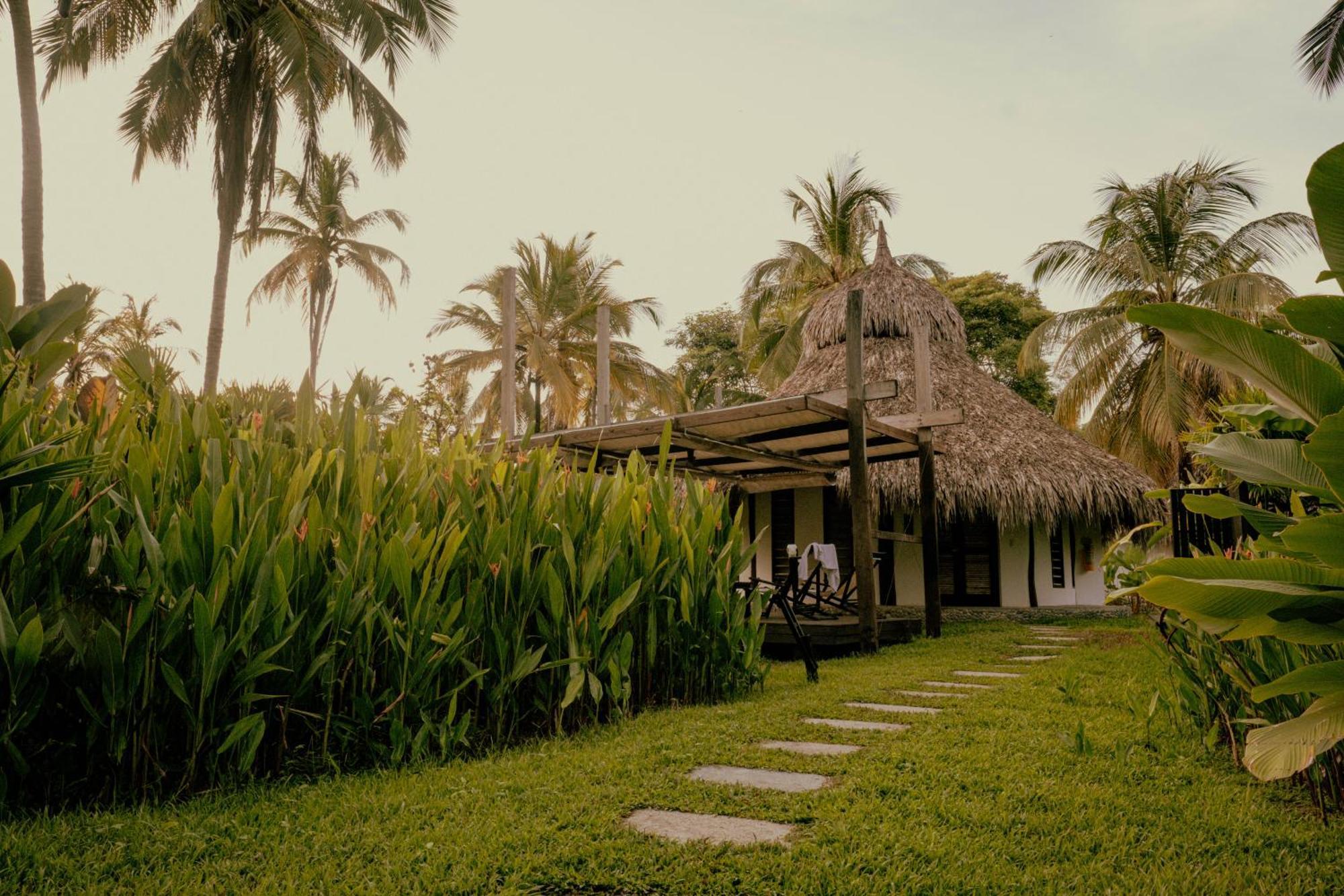 Viajero Tayrona Hostel & Ecohabs Buritaca Kültér fotó